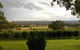 Wollundry Grove Olives - thumb 1