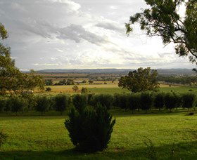Wollundry Grove Olives - Accommodation NT 1