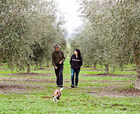 Wollundry Grove Olives - Accommodation NT 3