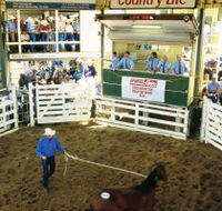 Gracemere Exhibition Complex - Accommodation NT