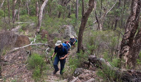 Yulludunida Walking Track - Accommodation NT 3