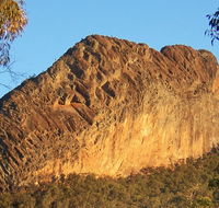 Kaputar scenic drive - Accommodation NT