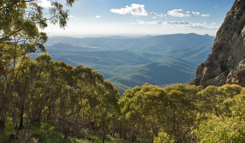 Kaputar Scenic Drive - Accommodation NT 1