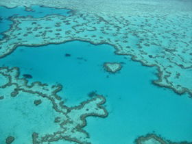 Heart Reef - Accommodation NT 0