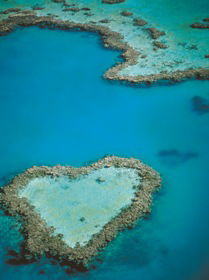 Heart Reef - Accommodation NT 3