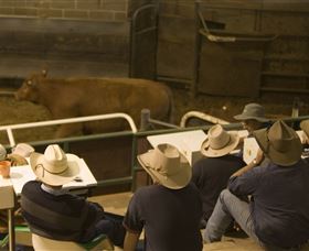 Livestock Marketing Centre - Accommodation NT 2