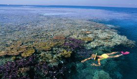Hardy Reef - Accommodation NT 1