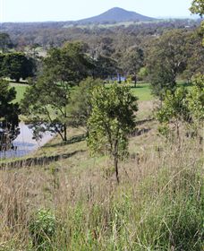 Mt Piper Nature Conservation Reserve - Accommodation NT 1