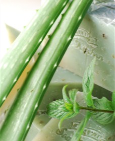 Gourmet Soap Kitchen - NT Tourism 1