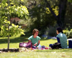 Botanic Gardens Wagga Wagga - Accommodation NT 0