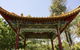 Botanic Gardens Wagga Wagga - thumb 1