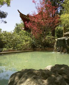 Botanic Gardens Wagga Wagga - Accommodation NT 2