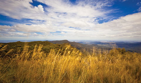 Mount Kaputar Summit Walk - Accommodation NT 1