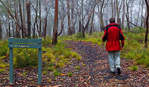 Mount Kaputar Summit Walk - Accommodation NT 2