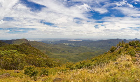 Mount Kaputar Summit Walk - Accommodation NT 3