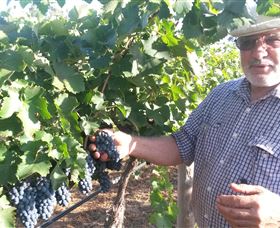 Rosnay Organic Farm And Vineyard - Accommodation NT 6