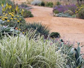 Perennialle Plants Nursery And Garden - Accommodation NT 1