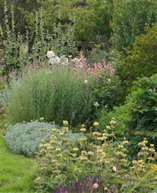 Perennialle Plants Nursery And Garden - Accommodation NT 6