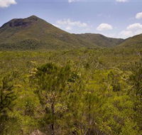 Kutini-Payamu Iron Range National Park CYPAL - Accommodation NT