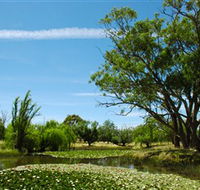 Wirraminna Environmental Education Centre - Accommodation NT