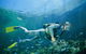 Seaflight Bommie Dive Site - thumb 0