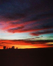 Springview Eco-Farm - Accommodation NT 0
