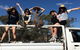 Springview Eco-Farm - thumb 1