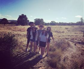 Springview Eco-Farm - Accommodation NT 5