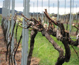 Stockmans Ridge Wines - Accommodation NT 2
