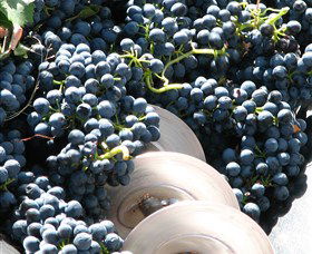 Orange Mountain Wines - Accommodation NT 2