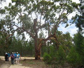 Koorilgur Nature Reserve - Accommodation NT 0