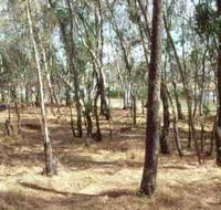 Chiltern-Mt Pilot National Park - Accommodation NT