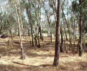 Chiltern-Mt Pilot National Park - Accommodation NT 0