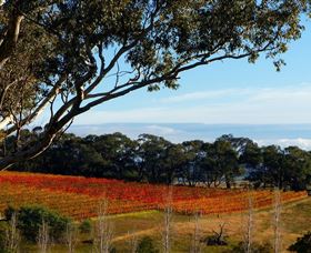 Bloodwood Estate - Accommodation NT 0