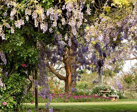 Wombat Heights Orchard And Grog Shed - Accommodation NT 2