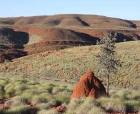Camel Trail, Millstream-Chichester National Park - NT Tourism 0