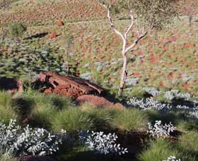 Camel Trail, Millstream-Chichester National Park - NT Tourism 2