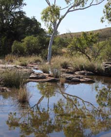 Camel Trail, Millstream-Chichester National Park - NT Tourism 3