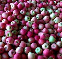 Hillside Orchard - Accommodation NT