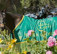 Living Legends The International Home of Rest for Champion Horses - Accommodation NT