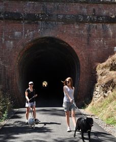 Cheviot Tunnel - Accommodation NT 0