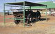 Courthouse Museum Yalgoo - thumb 1
