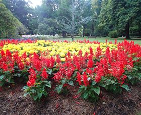 Cook Park - Accommodation NT 1