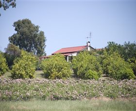 Samaria Farm - Accommodation NT 0