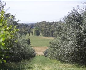 Samaria Farm - Accommodation NT 7