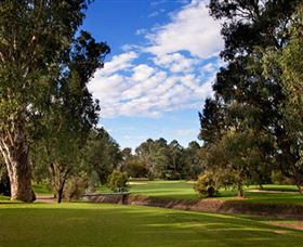 Commercial Golf Course - Accommodation NT 0