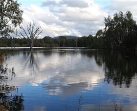 Wonga Wetlands - Accommodation NT 1