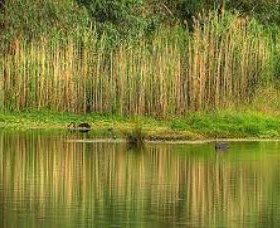 Wonga Wetlands - Accommodation NT 2