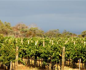 Amulet Vineyard And Beechworth Cider - Accommodation NT 7