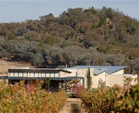 Amulet Vineyard And Beechworth Cider - Accommodation NT 8